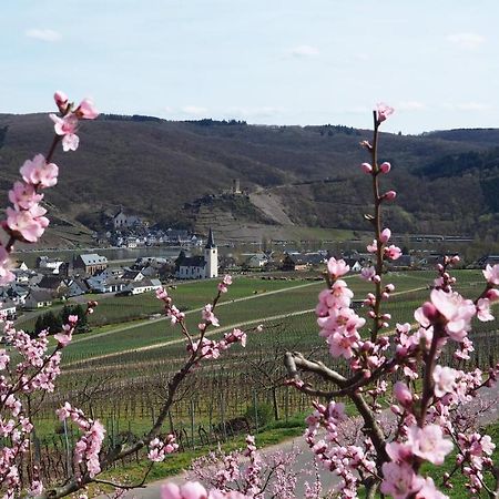 Gaestehaus Preuss Ellenz-Poltersdorf Zewnętrze zdjęcie