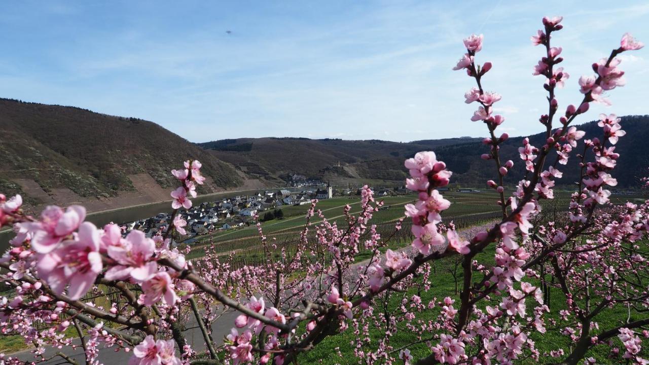 Gaestehaus Preuss Ellenz-Poltersdorf Zewnętrze zdjęcie